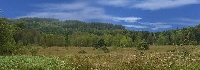 horizon1-petit.jpg